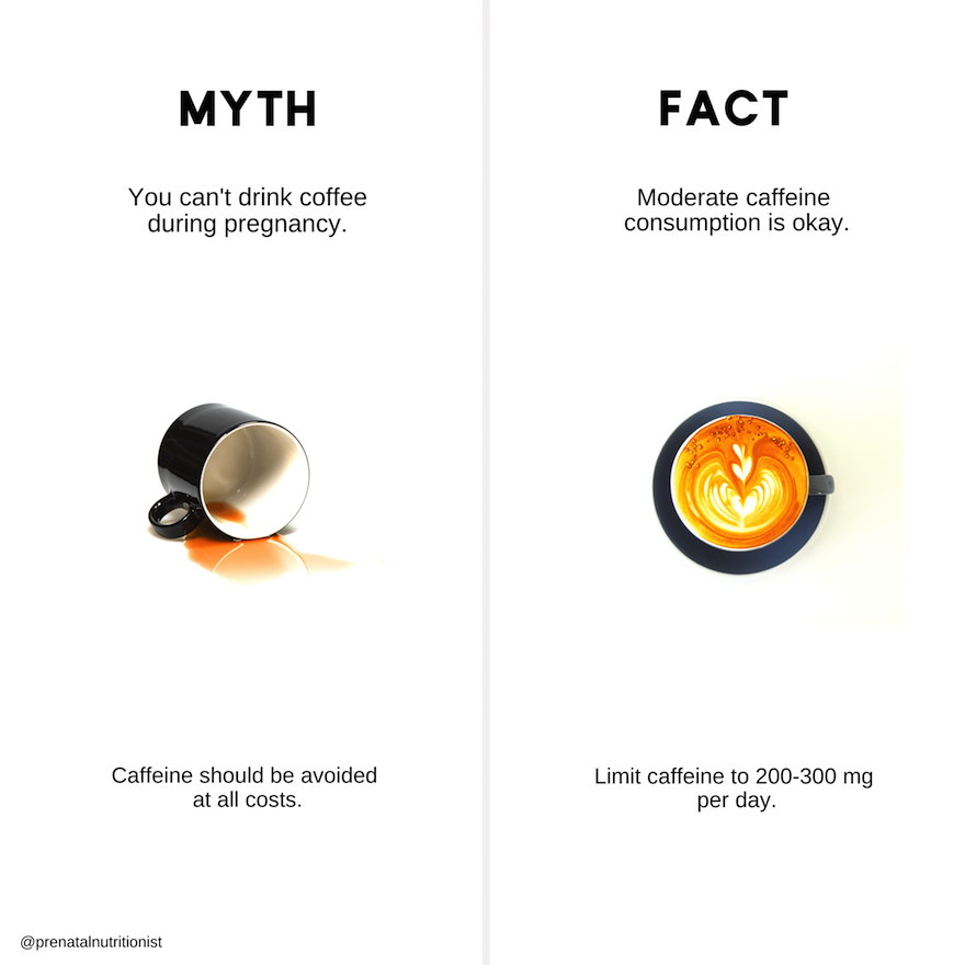 coffee during pregnancy myth or fact