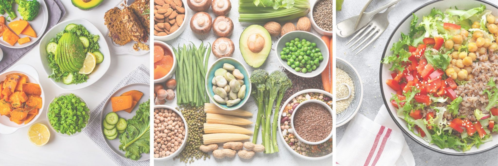 PlantBased Protein For Pregnancy The Prenatal Nutritionist