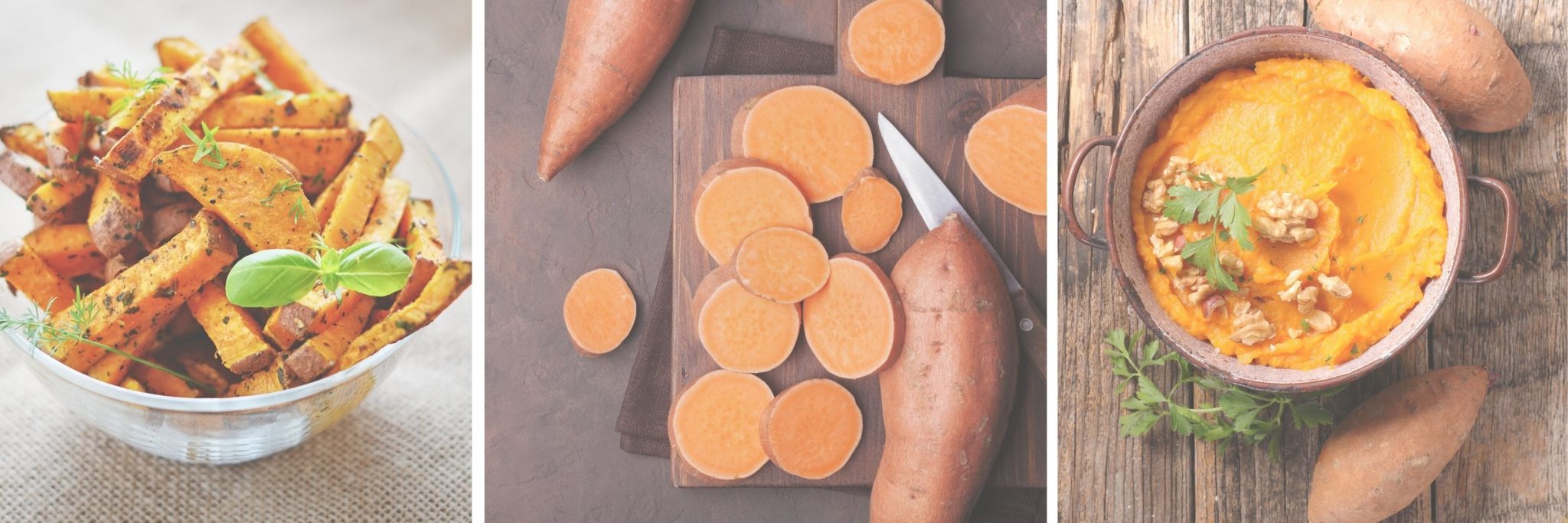 Are Sweet Potatoes Good For Pregnancy? The Prenatal Nutritionist