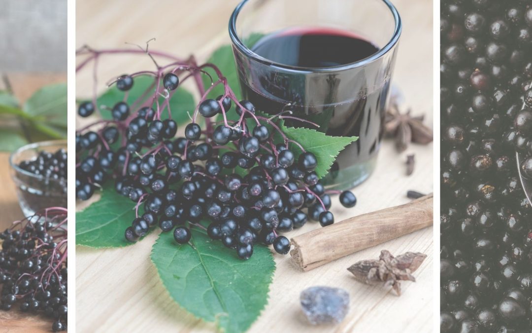 Is Elderberry Safe For Pregnancy