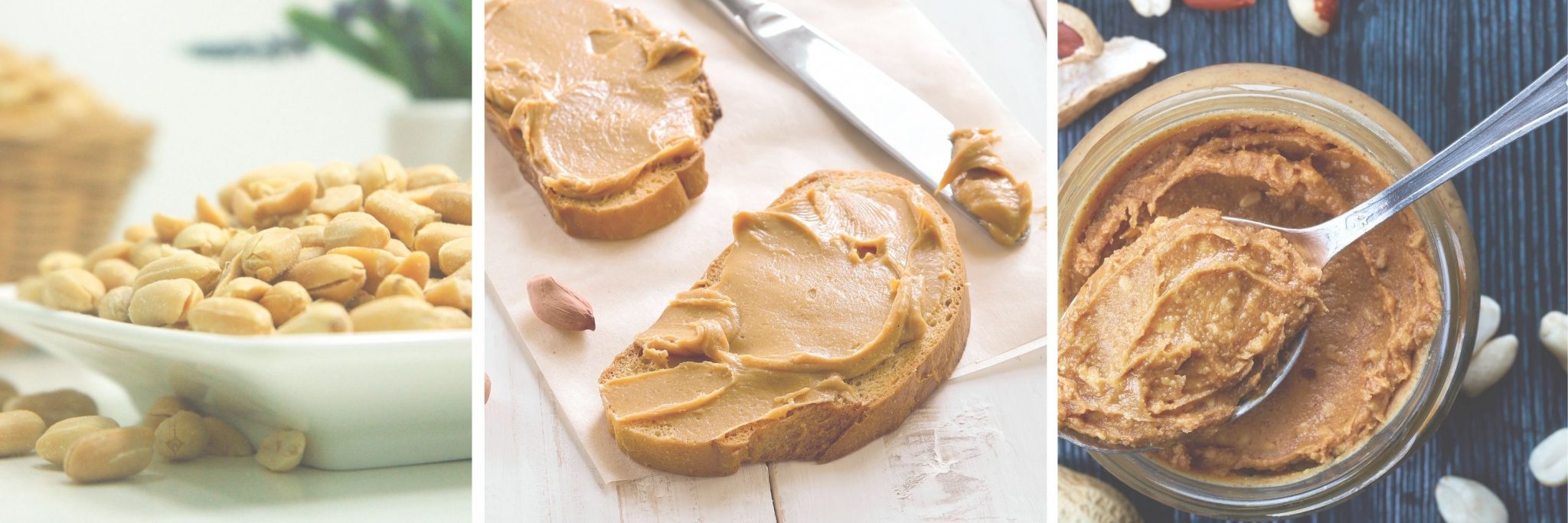 Myth Eating Peanuts To Cause Babies Peanut Butter Allergy myth-eating-peanuts-to-cause-babies-peanut-butter-allergy