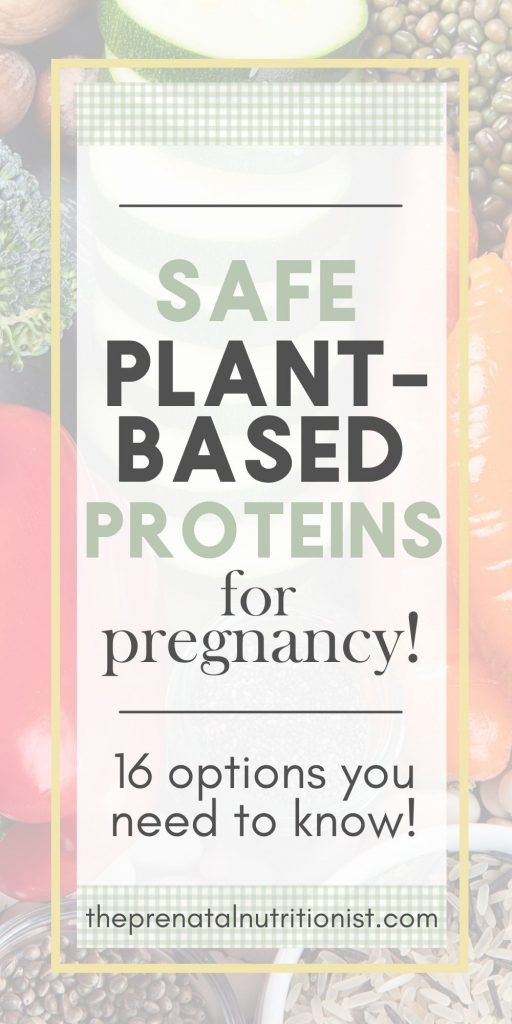 Plant-Based Protein For Pregnancy