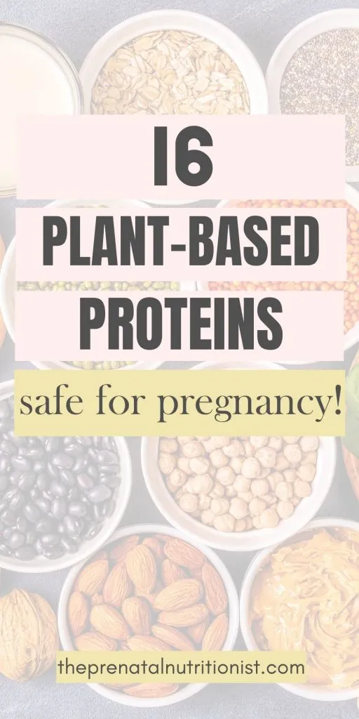 Plant-Based Protein For Pregnancy