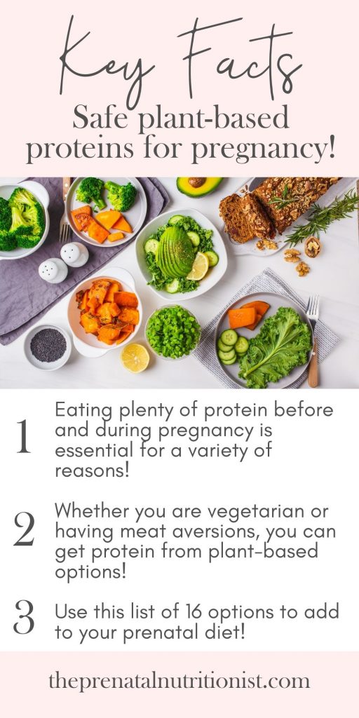 safe protein sources for pregnant women