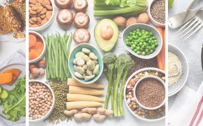 Plant-Based Protein For Pregnancy