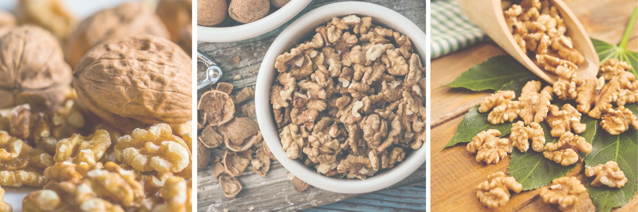 7 Advantages Of Walnuts During Pregnancy The Prenatal Nutritionist