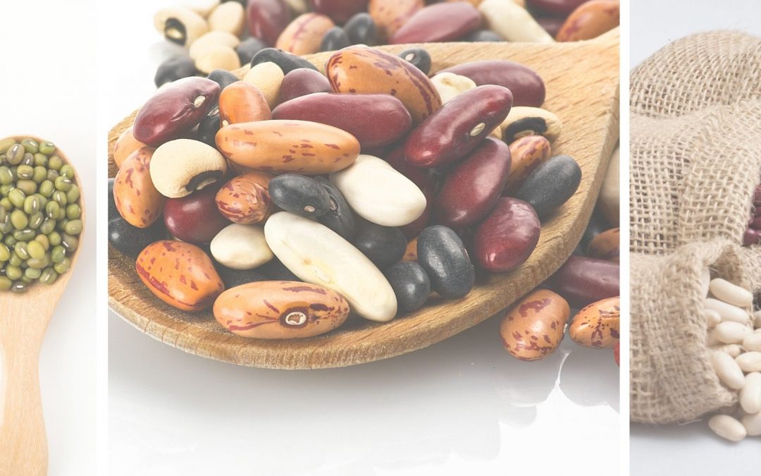 10 Best Beans For Pregnancy