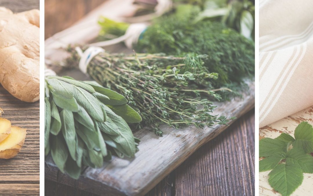 10 Best Herbs During Pregnancy