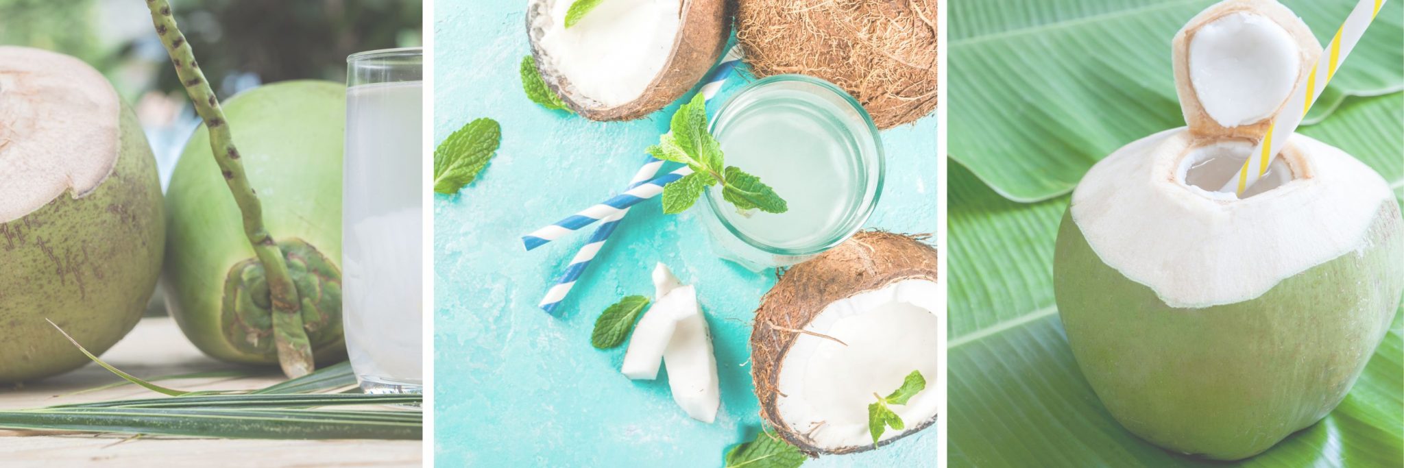 10 Benefits Of Coconut Water For Pregnancy The Prenatal Nutritionist