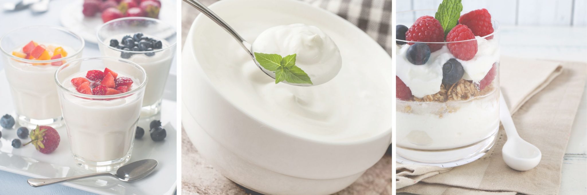 Why Is Yogurt Good For Pregnancy The Prenatal Nutritionist