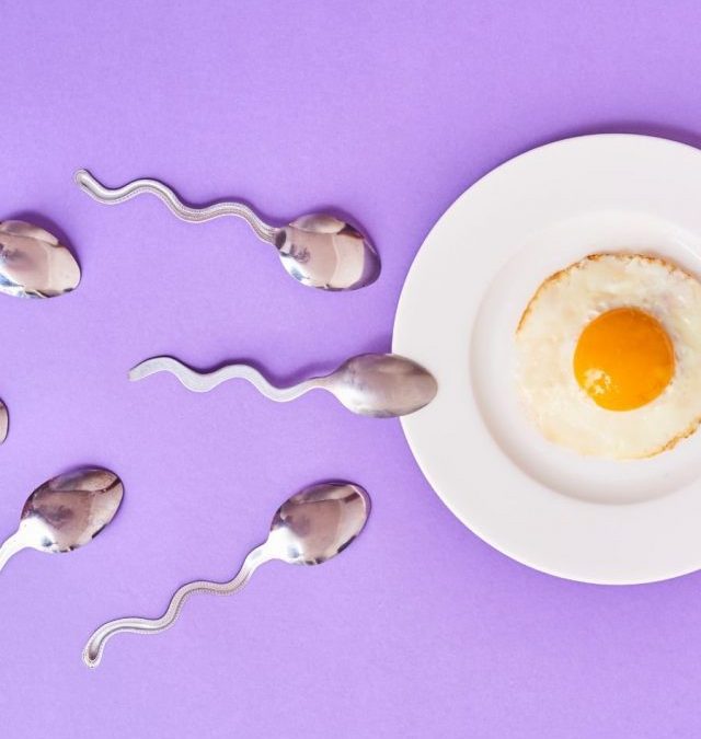 5 Foods that Promote Fertility