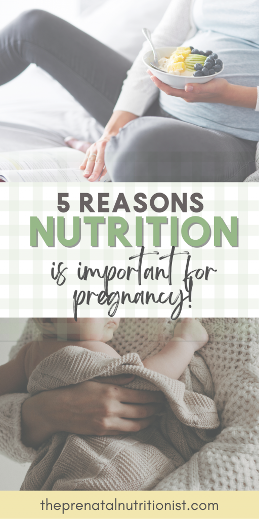 Importance of Good Nutrition During Pregnancy
