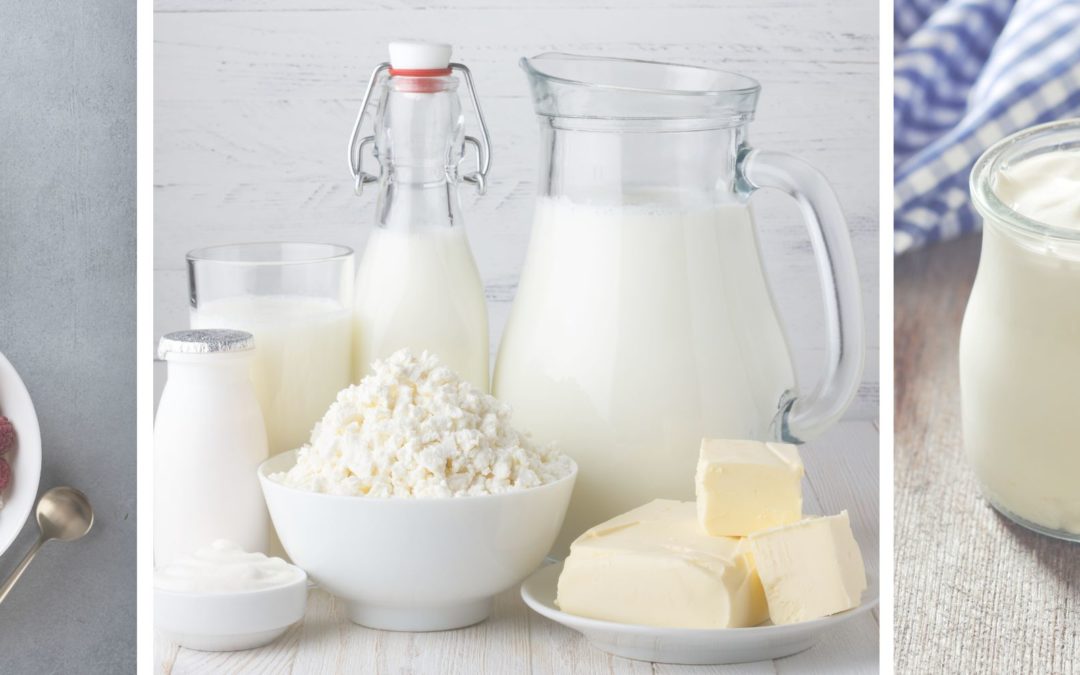 5 Best Dairy Products For Pregnancy
