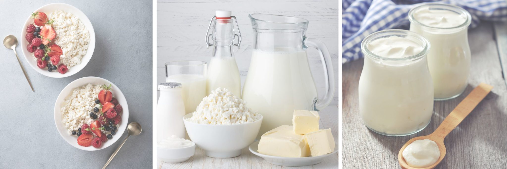 5 Best Dairy Products For Pregnancy The Prenatal Nutritionist