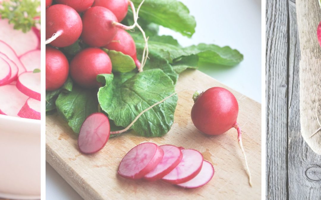 Radishes For Pregnancy