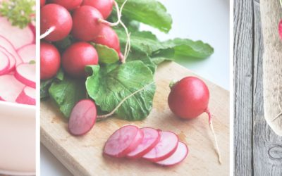 Radishes For Pregnancy