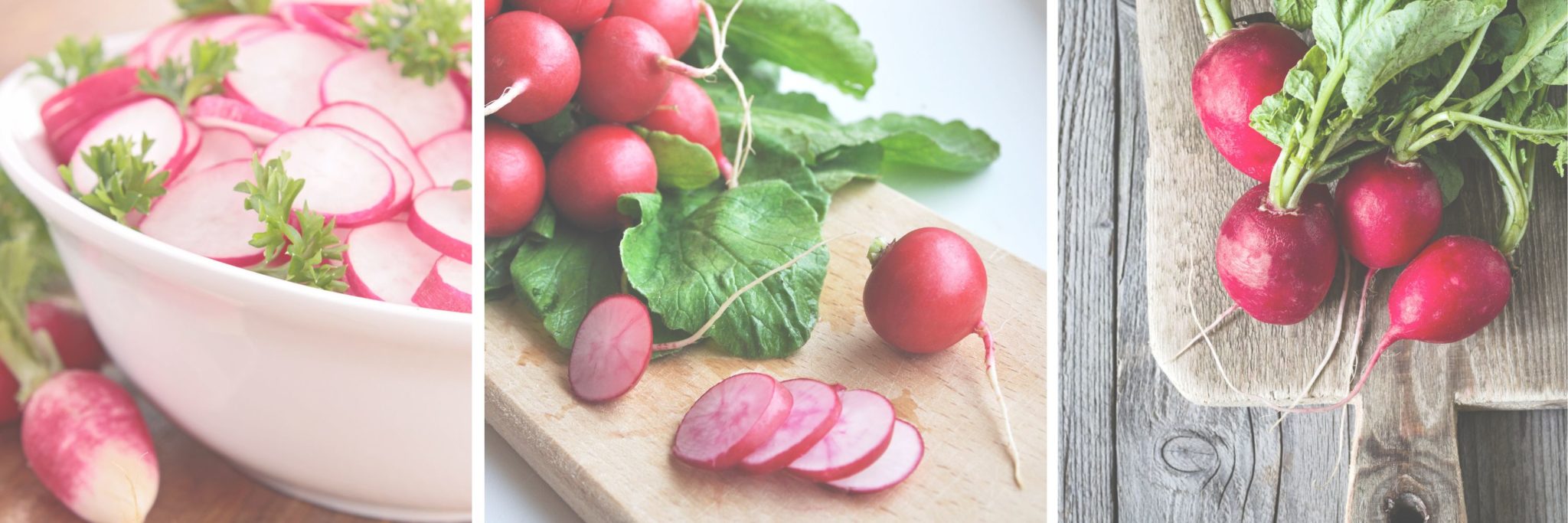 Radishes For Pregnancy The Prenatal Nutritionist
