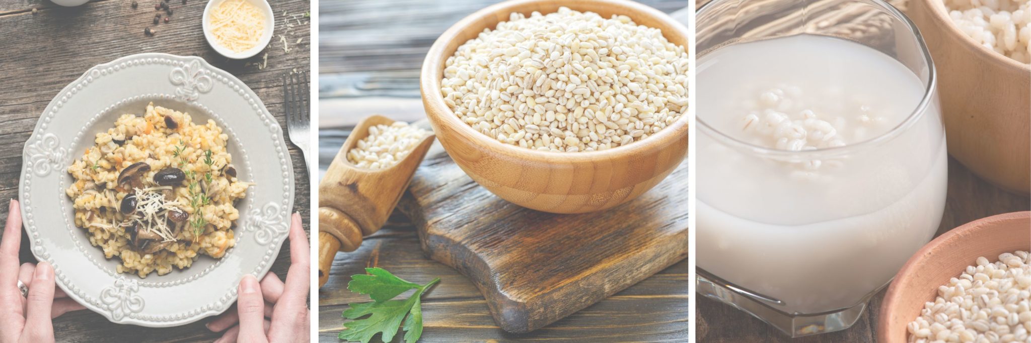 9 Barley Benefits For Pregnancy The Prenatal Nutritionist