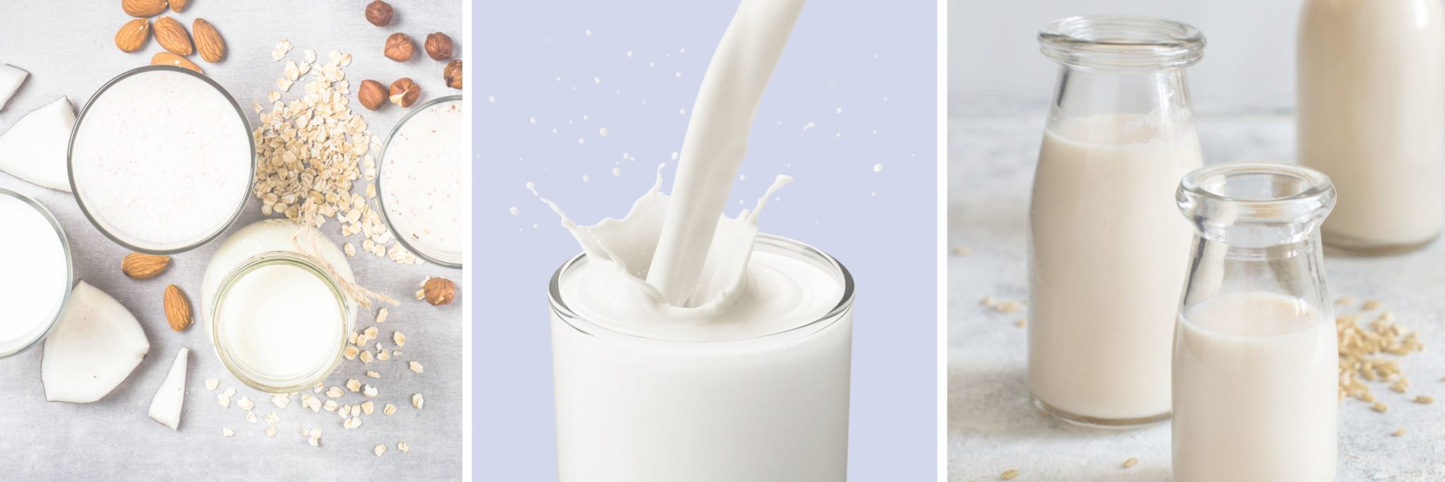 What You Need to Know about Milk & its Options in Pregnancy