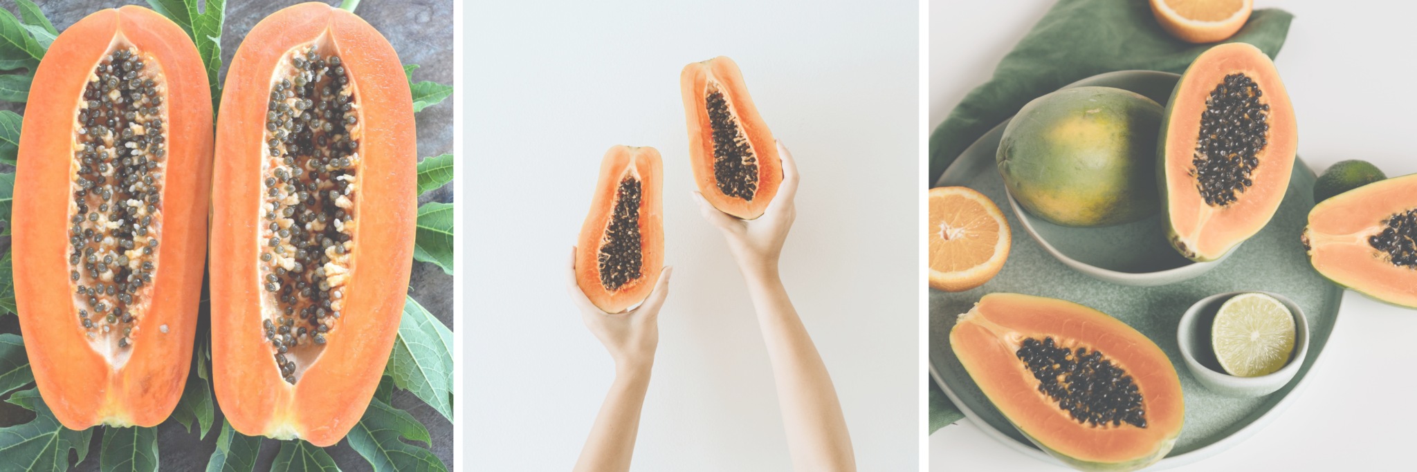 Can Papaya Cause Miscarriage In Early Pregnancy?