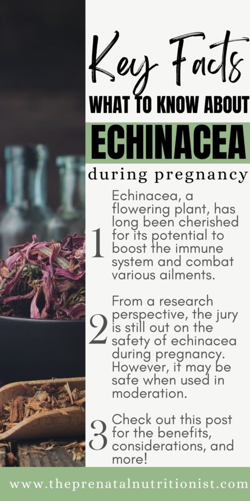 Is Echinacea Safe During Pregnancy?