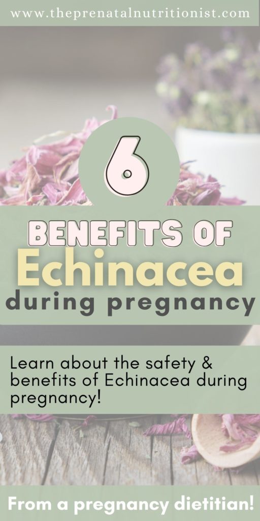 Echinacea Benefits For Pregnancy