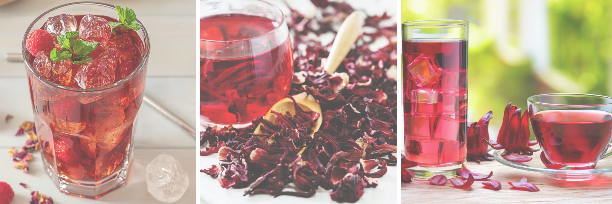 Is Hibiscus Tea Safe During Pregnancy The Prenatal Nutritionist is-hibiscus-tea-safe-during-pregnancy-the-prenatal-nutritionist