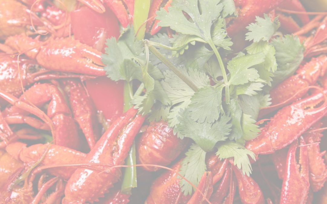 Can You Eat Crawfish While Pregnant?
