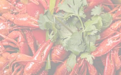 Can You Eat Crawfish While Pregnant?