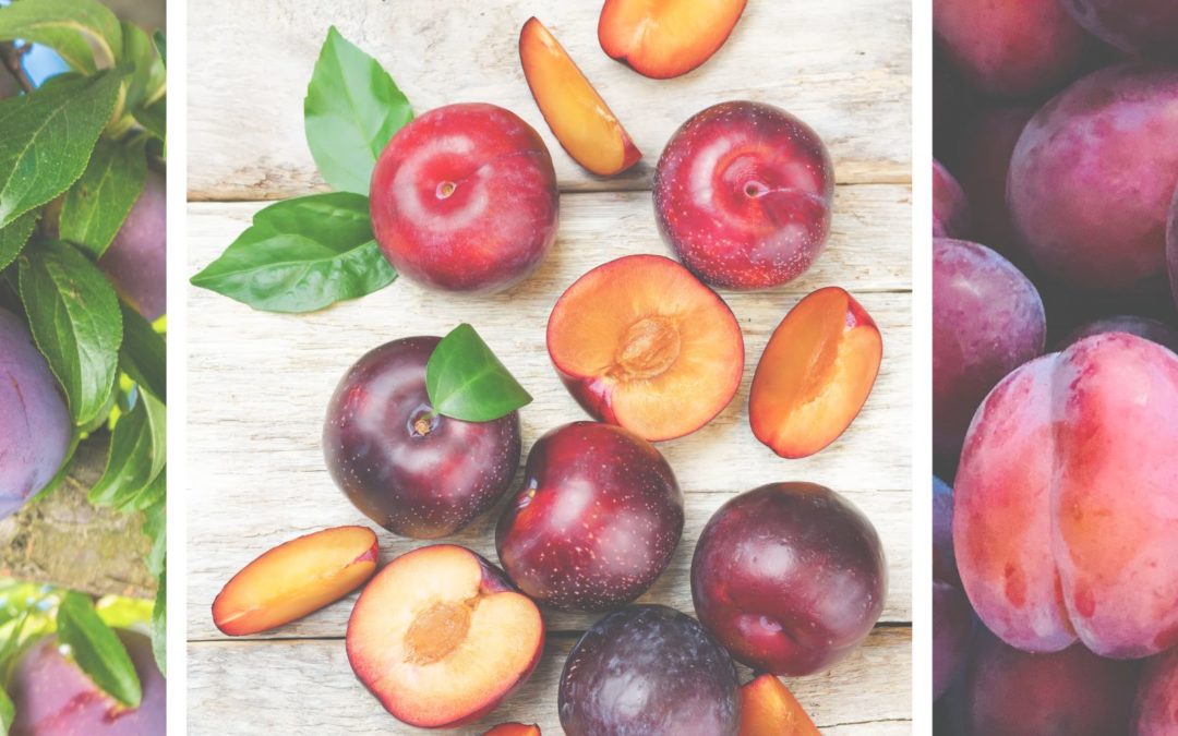 The Ultimate Guide to Plums During Pregnancy