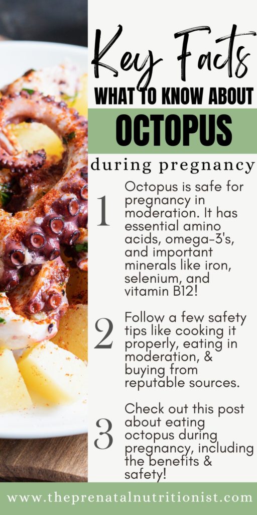 Can Pregnant Women Eat Octopus?
