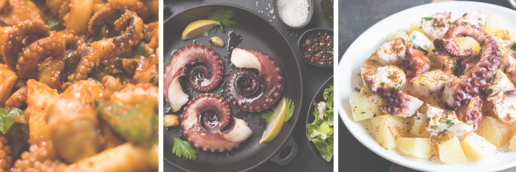 Can Pregnant Women Eat Octopus?