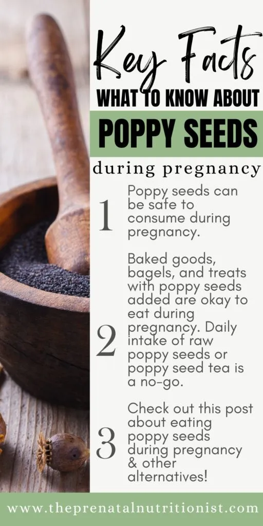 Poppy Seeds key facts Poppy Seeds For Pregnancy: Everything You Need to Know